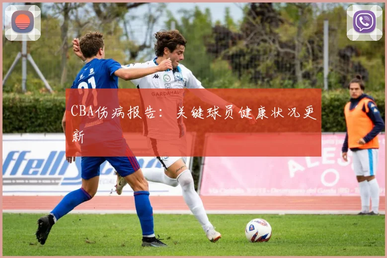 CBA伤病报告：关键球员健康状况更新