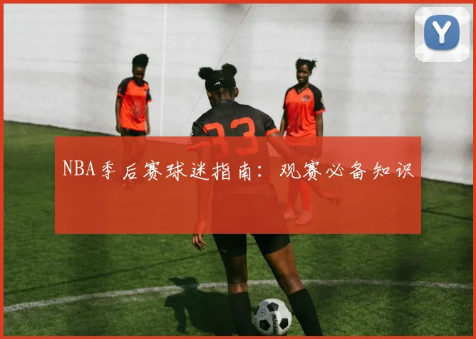 NBA季后赛球迷指南：观赛必备知识
