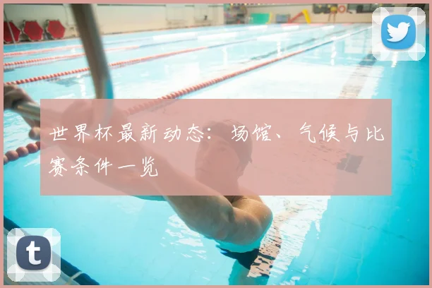 世界杯最新动态:场馆、气候与比赛条件一览
