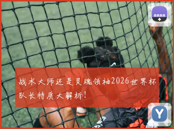 战术大师还是灵魂领袖2026世界杯队长特质大解析！