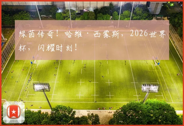 绿茵传奇！哈维·西蒙斯，2026世界杯，闪耀时刻！